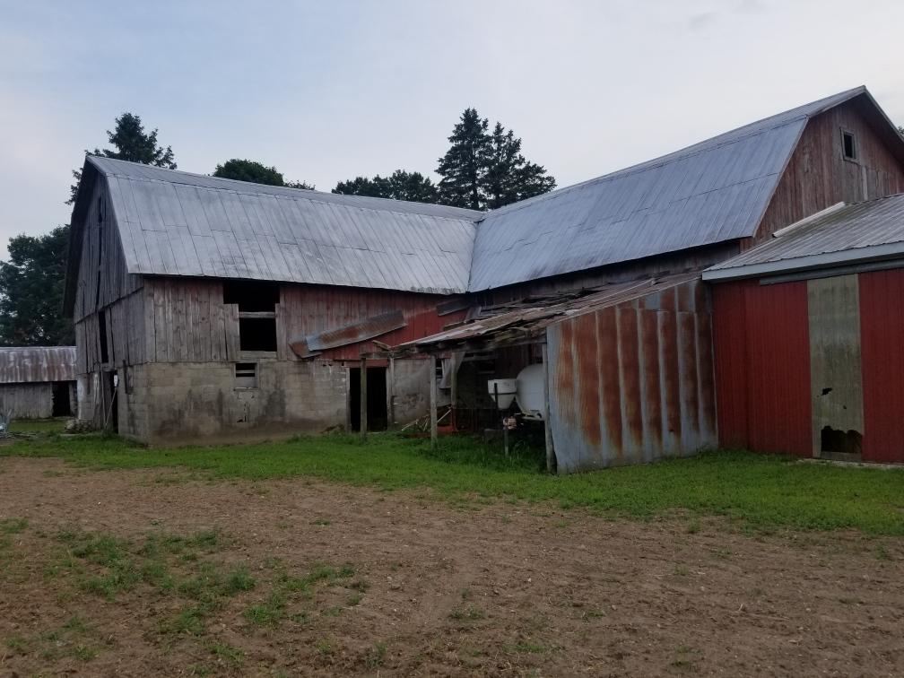 Clearing out the barn