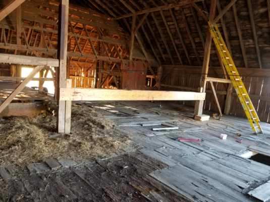 Barn projects never stop!